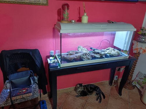Acquario vetro - acquario,