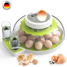 Incubatrice per uova