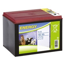 BATTERIA PER ELETTRIFICATORE