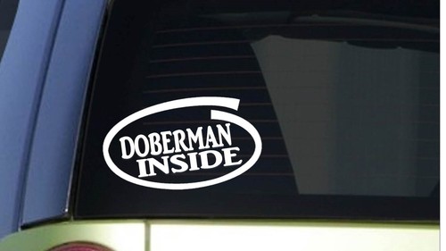 Adesivo doberman inside i289 - adesivo,