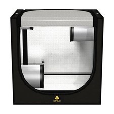 Secret Jardin DP60 Dark