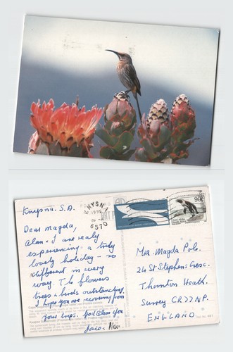 Vintage postcard cape - postcard,