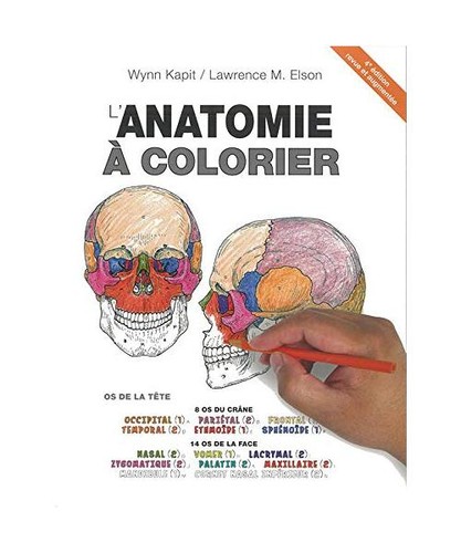 Anatomie colorier kapit - l'anatomie, À