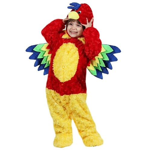 Costume pappagallo vestito - costume,