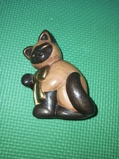 Thun rarissimo gatto gattino