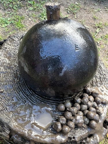 Palla cannone tesoro - di, "tesoro"
