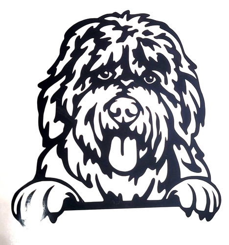 Bobtail vecchio cane - 1x,