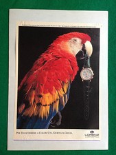 Advertising - (p16),