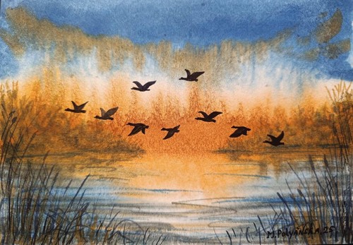 Ducks fly sky opera arte - fly,