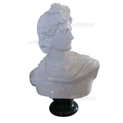 Busto apollo vero marmo - busto, in
