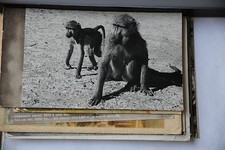 CARTOLINA VIAGGIATA -