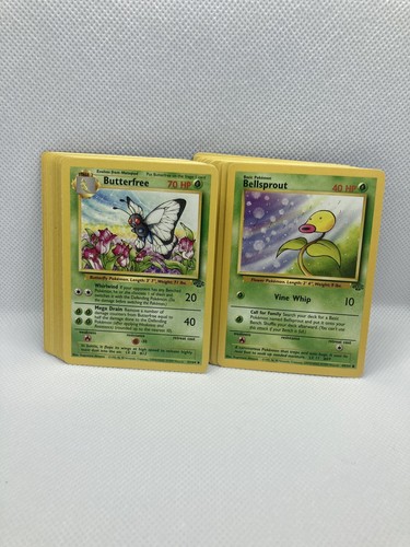 Set completo giungla beni