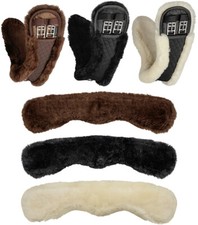 Cintura lunare Equinate