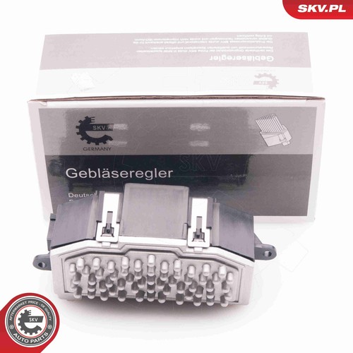 Esen skv resistenza soffiatore - skv,
