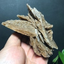 315g Rosa del Deserto Selenite Esemplare Cristallo Pietra Minerale Grappolo Guarigione 02