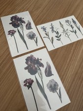 Set tatuaggi temporanei di