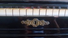 pianoforte a coda