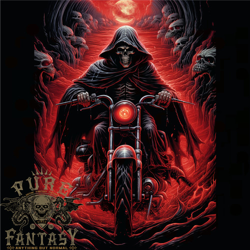 Skull biker motorcycle - skull,