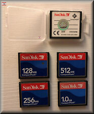 SanDisk Compact Flash CF-Card 128 256 512 MB 1 2 4 GB SDCFB/SDCFJ con custodia protettiva
