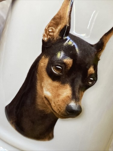 Miniatura pinscher tazza - 3d,
