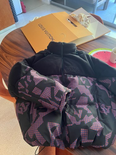 2024 louis vuitton - vuitton, down