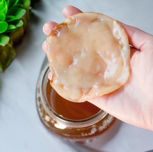 Kombucha scoby starter culture - kombucha,
