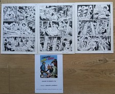 ZAGOR 701 BELLISSIMA SEQUENZA