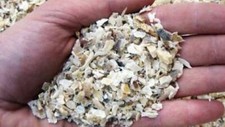 Cornunghia concime biologico - cornunghia,