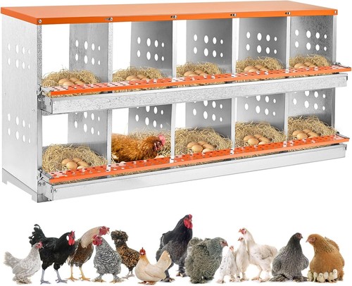 Contenitore nido pollo fori - pollo,