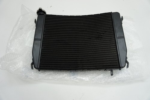 Aprilia 660 tuono - 660,