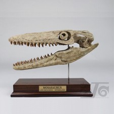Statua dinosauro teschio