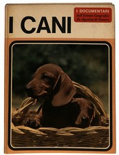 EBOND I Cani Documentari De