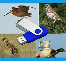 CANTI per richiamo elettronico uccelli Mp3 tordo merlo caccia anatre acquatici 