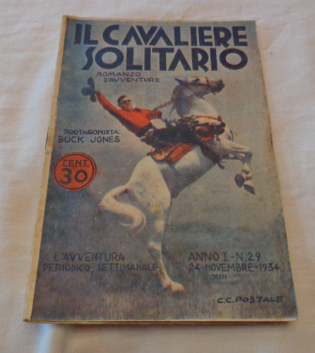 Cavaliere solitario romanzo - cavaliere,
