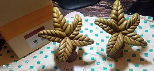 Meravigliosa coppia palme - meravigliosa, di