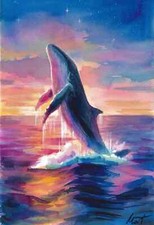 baleine au  coucher de soleil