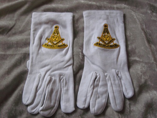 Guanti past master cotone - master, in