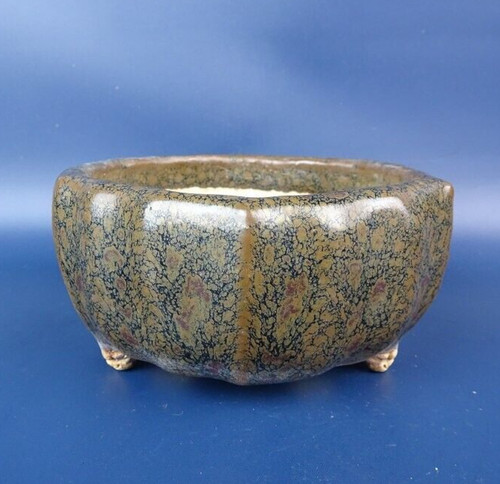 Vaso per bonsai - , giapponese