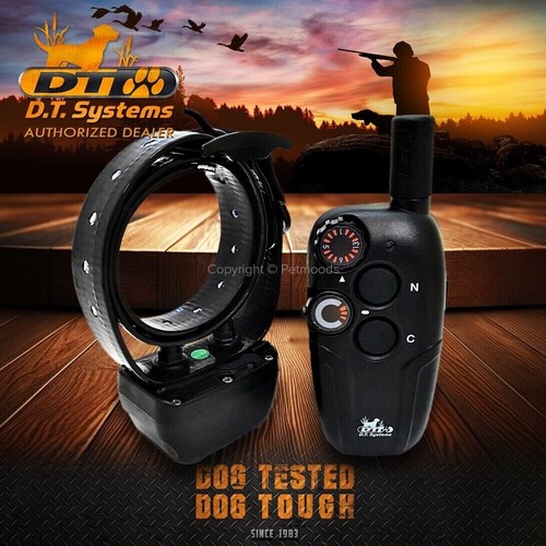 Allenatore remoto systems - d.t.,