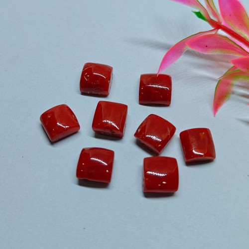 Corallo rosso mare italia - corallo,
