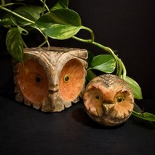 Set statuine gufo pietra