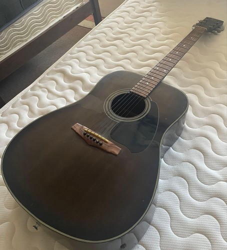Chitarra elettroacustica