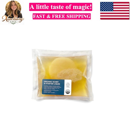 Scoby kombucha starter - scoby,