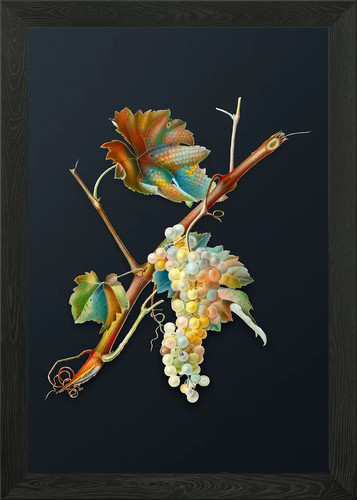 Quadro stampa tela poster - stampa,