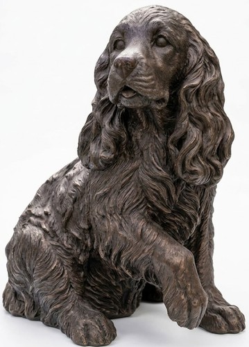 Springer spaniel cane - springer,
