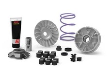 MALOSSI 5118238 VARIATORE