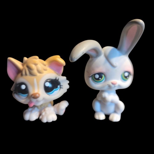 Figurine littlest pet shop - pet,