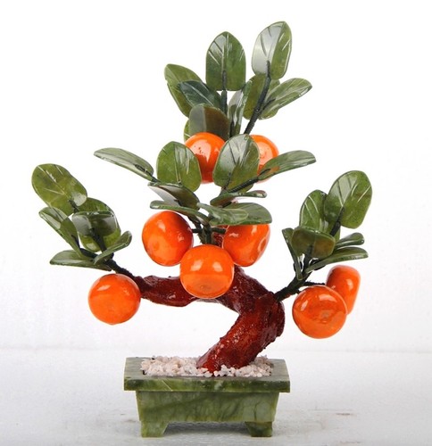 Bonsai mandarino giada feng - di,