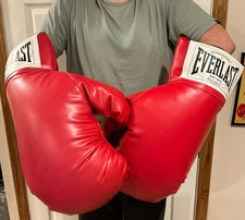 Everlast Boxing Gloves Red