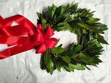 Corona Coroncina di Alloro